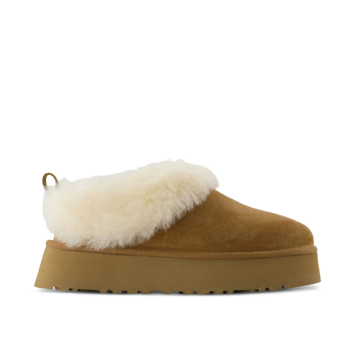 Tazzelle slippers