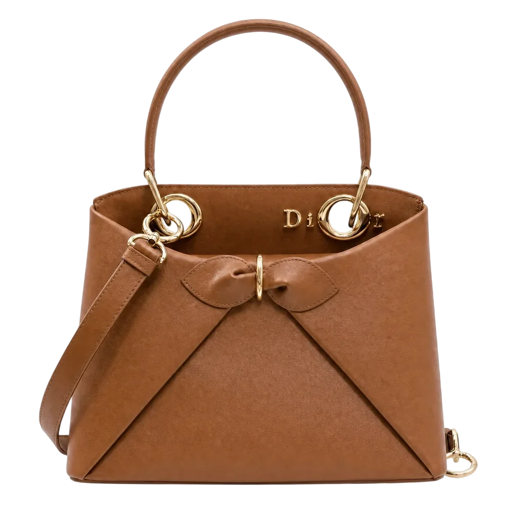 The Dior Cigale Bag