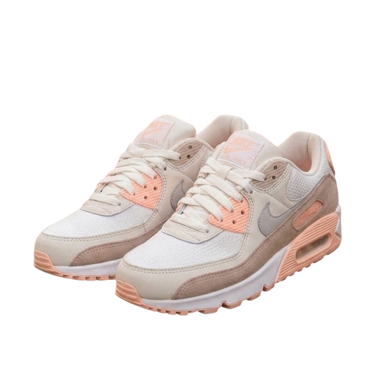 Nike Air Max 90